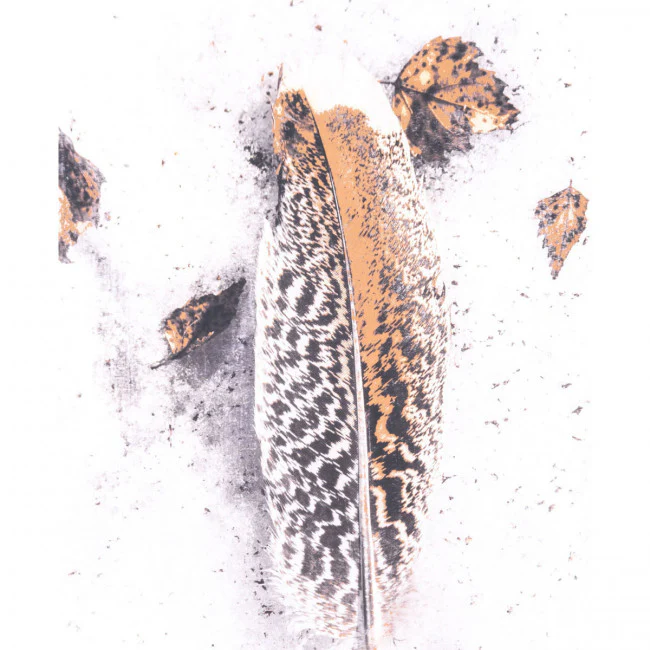 Office Wall Art w/ Feathered Plume & Autumn Leaves - Image 4